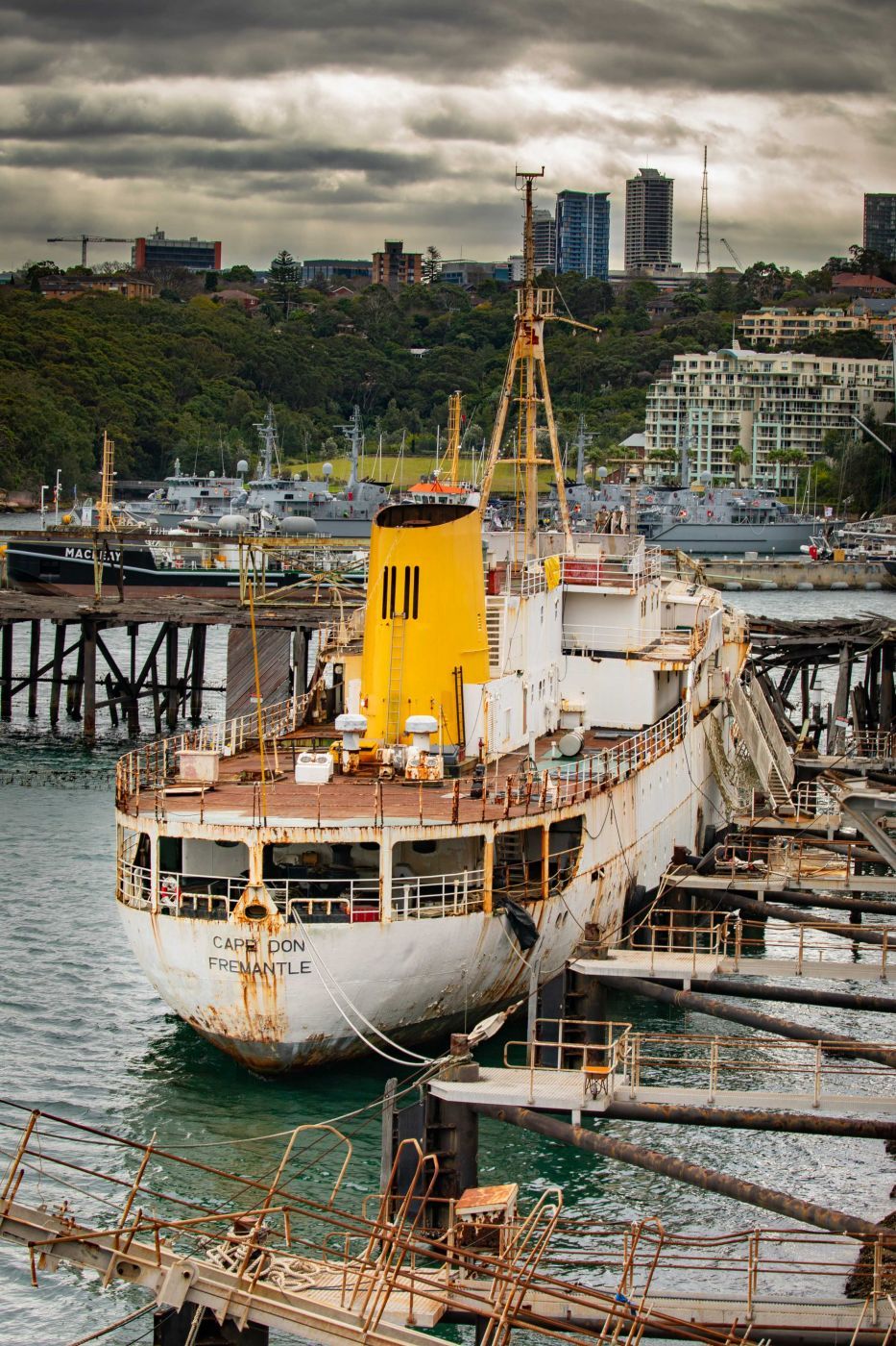 MV Cape Don The Coal Loader Balls Head Waverton NSW, Australia