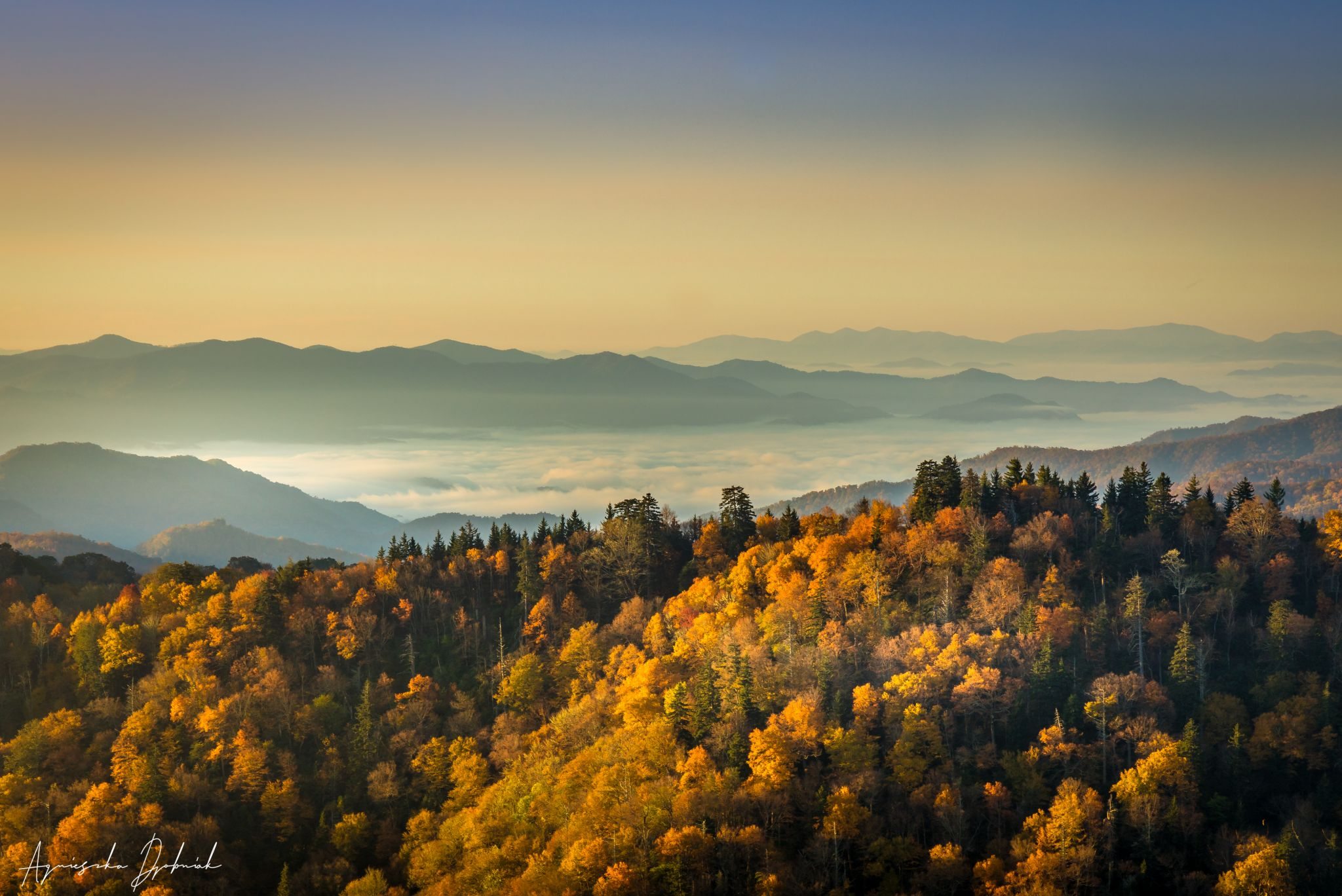 Newfound Gap - Top Spots for this Photo Theme