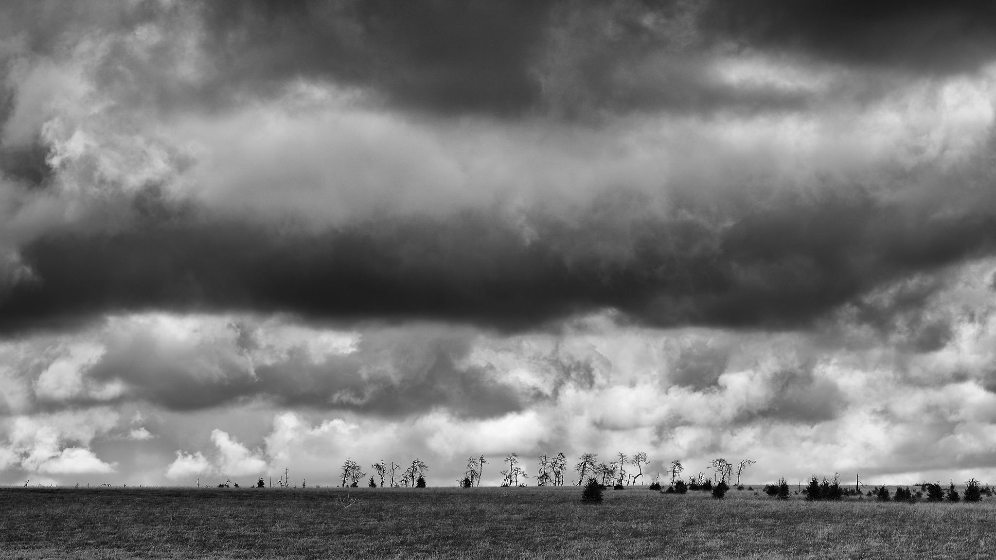 Noir Flohay, Belgium