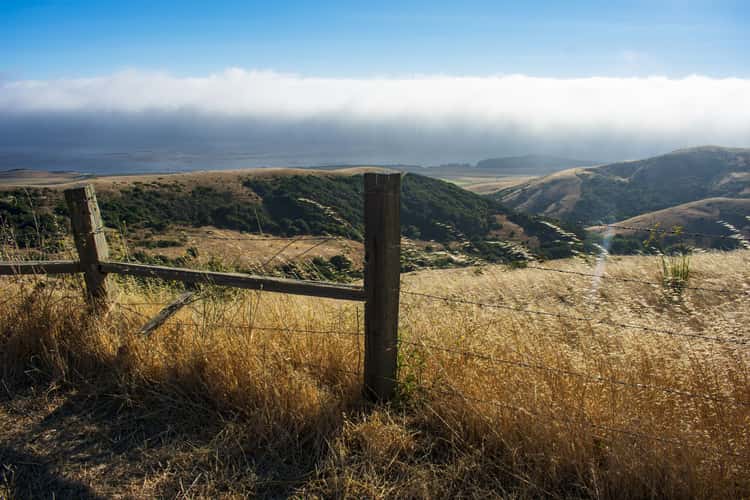 Old Coast Rd., Big Sur, CA