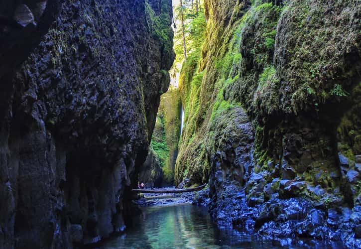 Oneonta Gorge