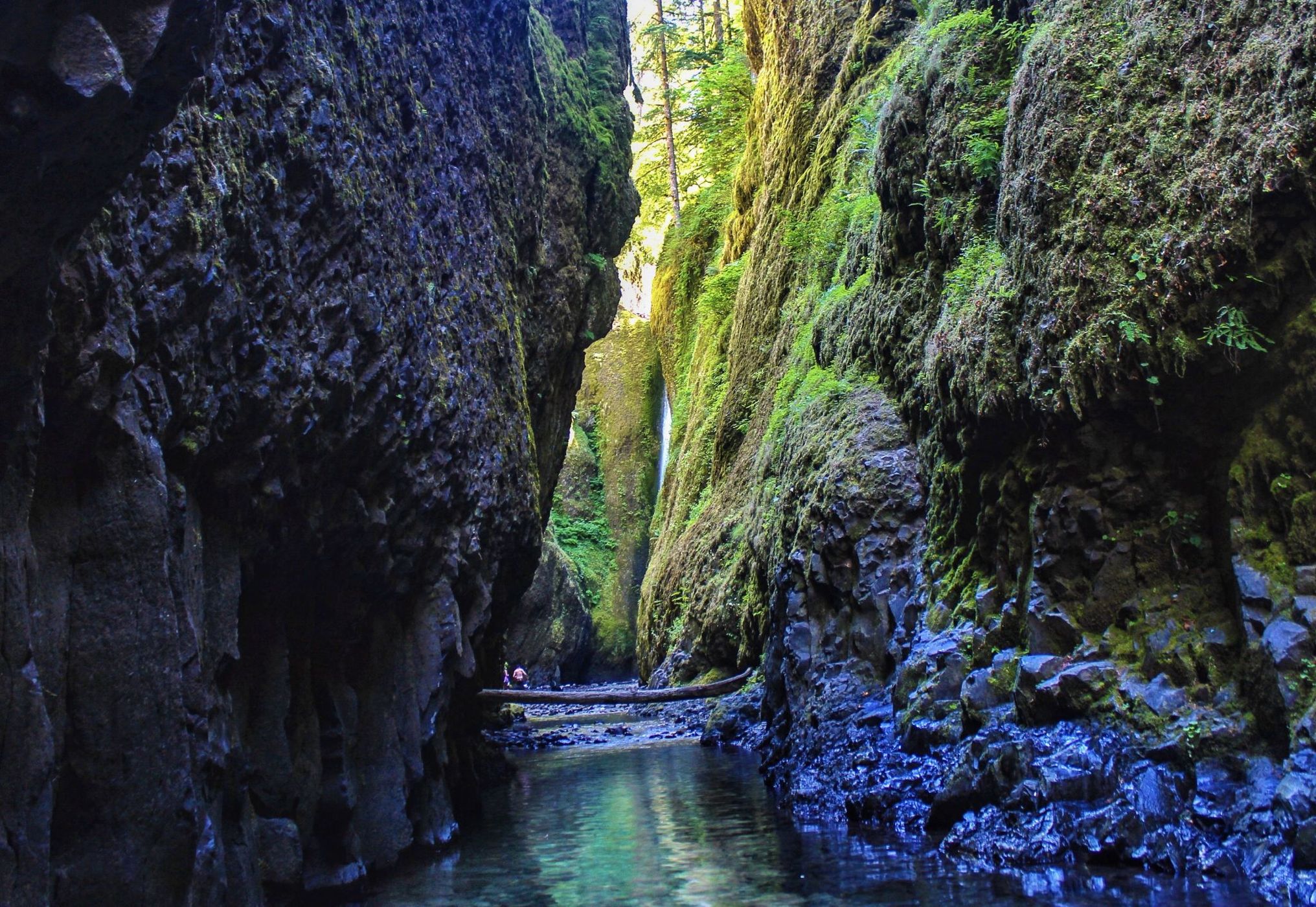Oneonta Gorge, USA