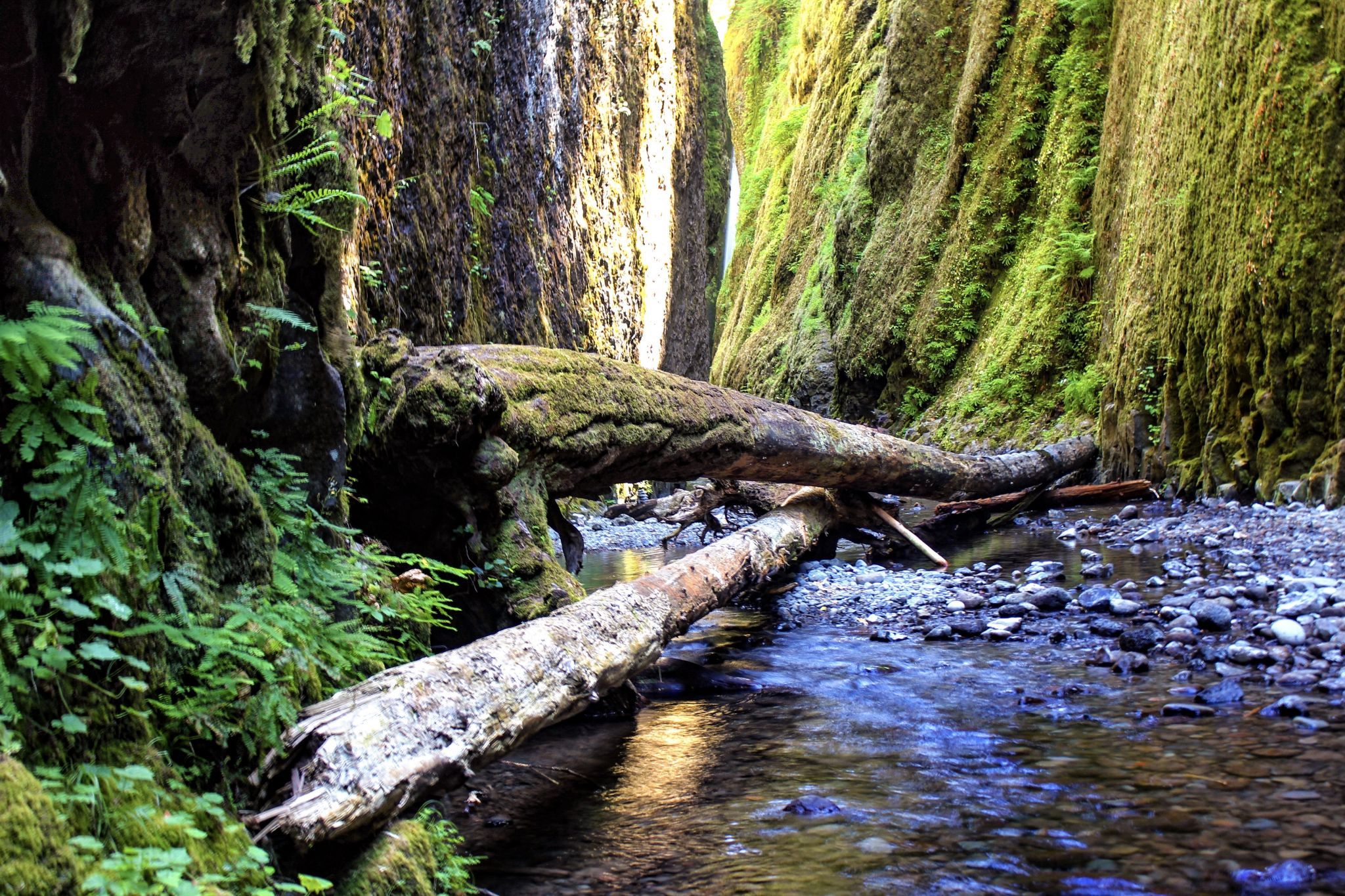 Oneonta Gorge, USA