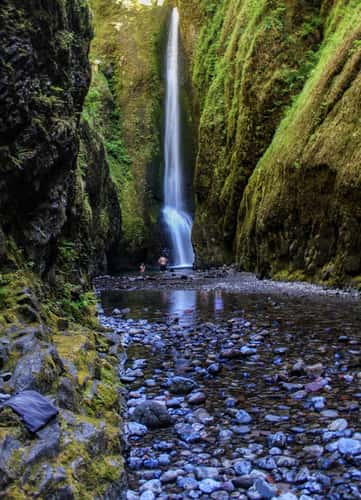 Oneonta Gorge