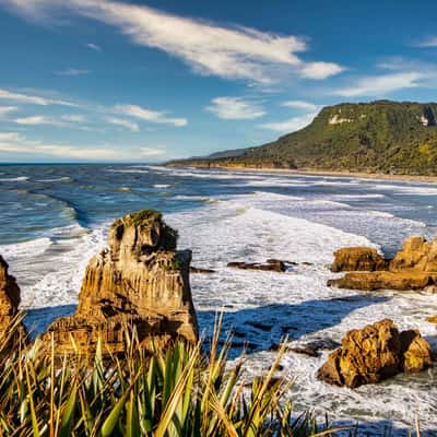 Paparoa National Park West Coast South Island, New Zealand