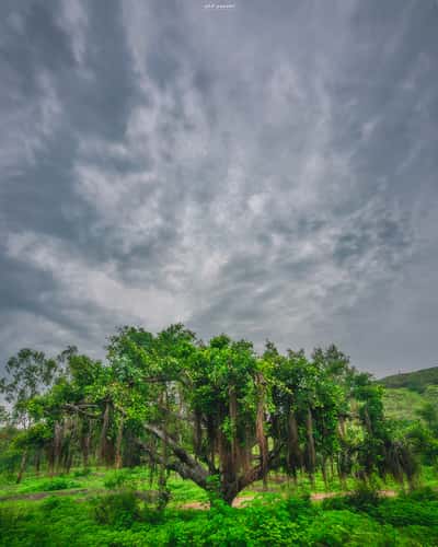 Pazar Talav, Sada Waghapur