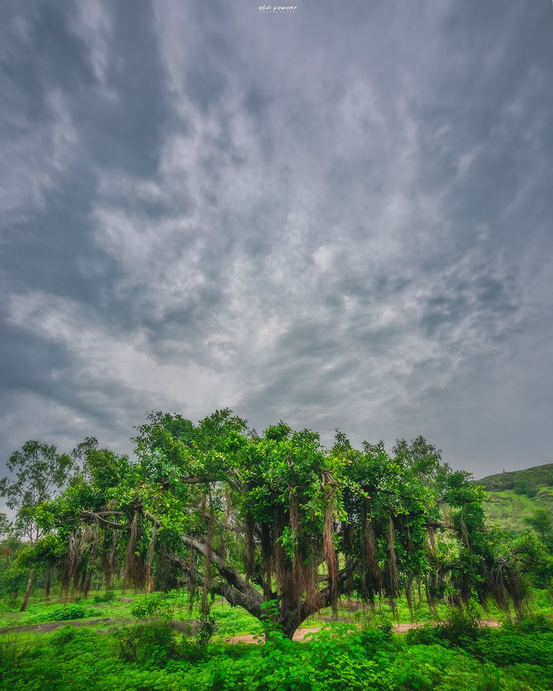 Pazar Talav, Sada Waghapur, India