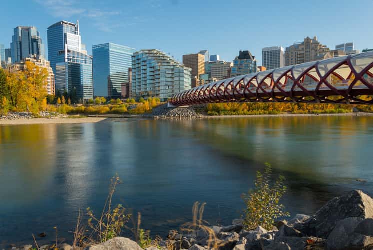 Peace Bridge