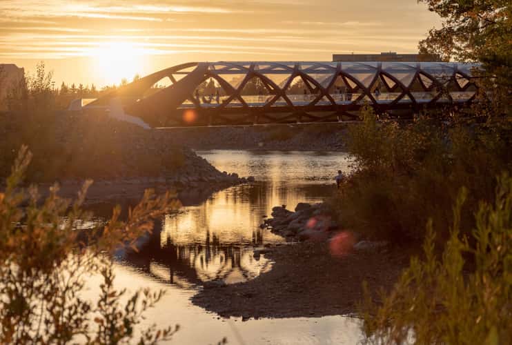 Peace Bridge - from Prince's Island Park, Calgary