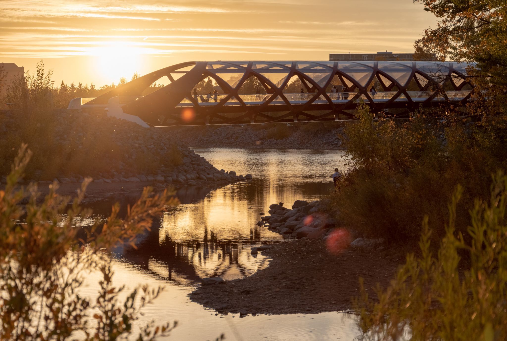 Peace Bridge - from Prince's Island Park, Calgary, Canada