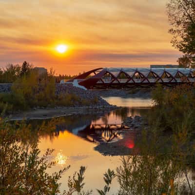 Peace Bridge - from Prince's Island Park, Calgary, Canada