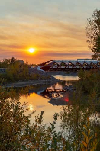Peace Bridge - from Prince's Island Park, Calgary