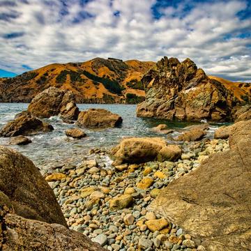 Pepin Island, Cable Bay, Nelson, South Island, New Zealand