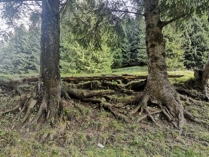 Piatra Craiului National Park