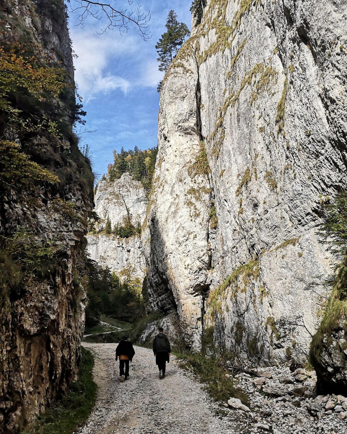 Piatra Craiului National Park, Romania