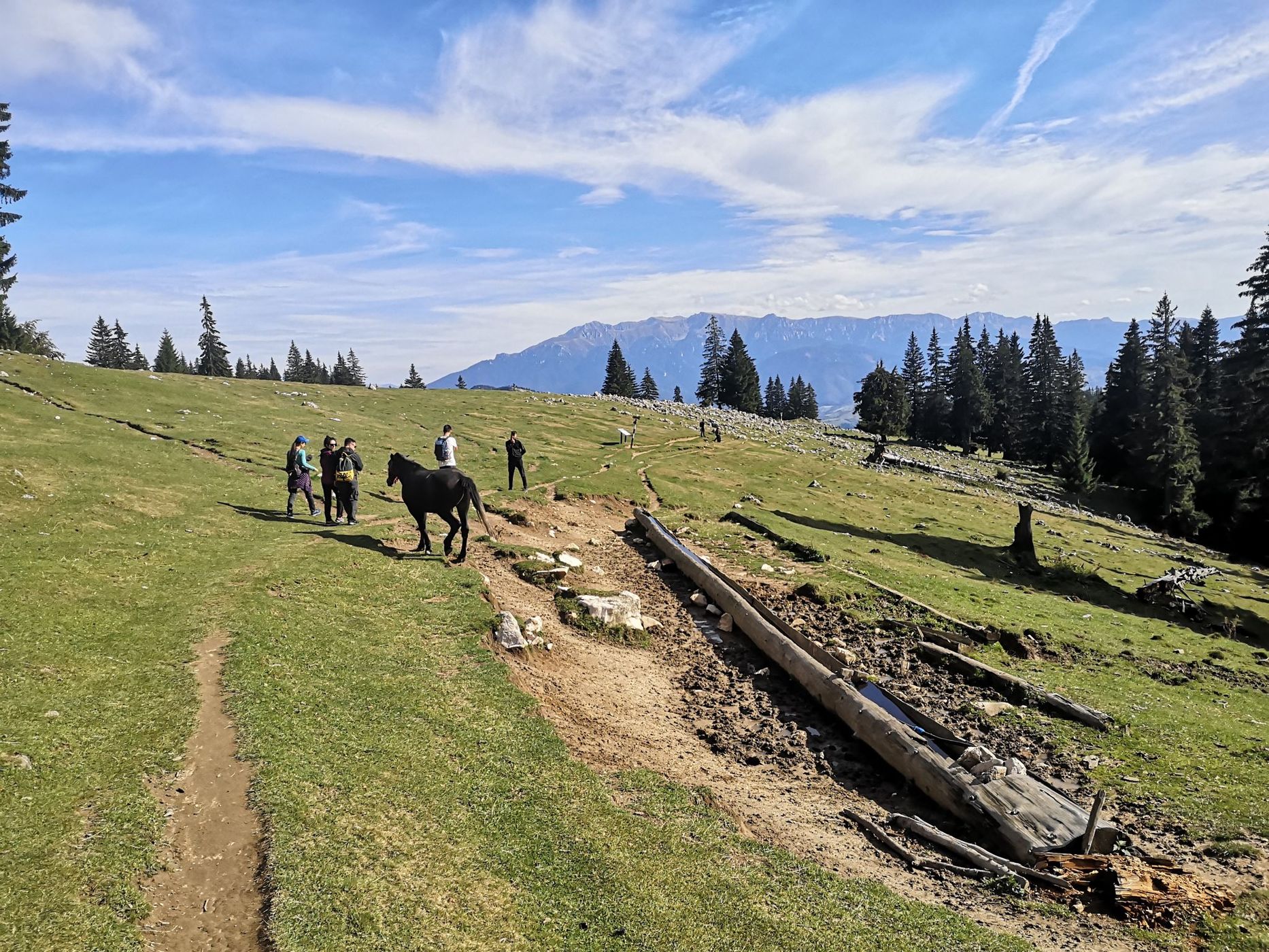 Piatra Craiului National Park, Romania