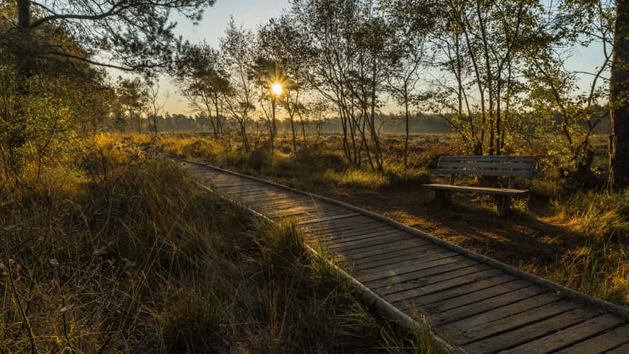 Pietzmoor