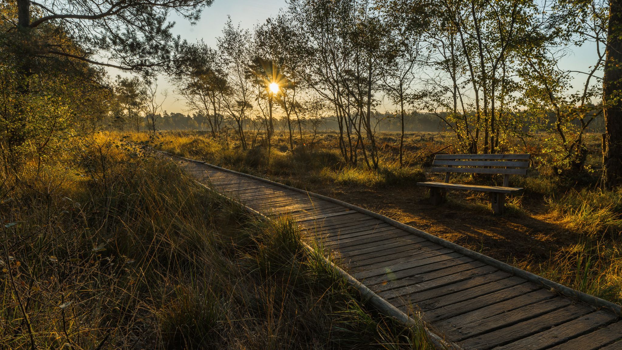Pietzmoor, Germany