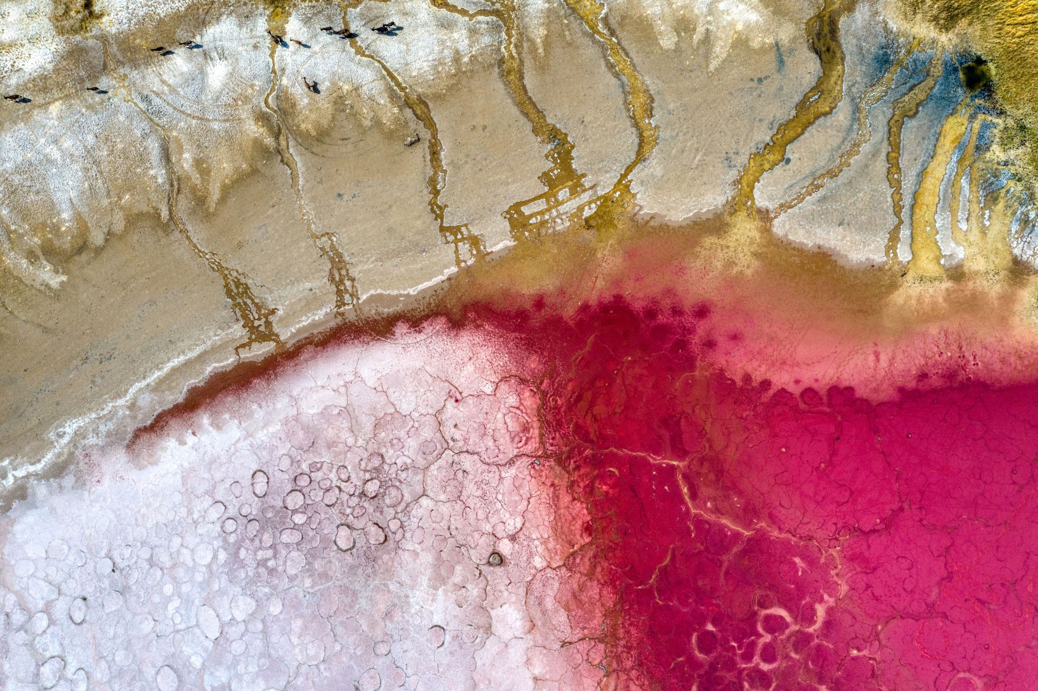 Pink Lake, China