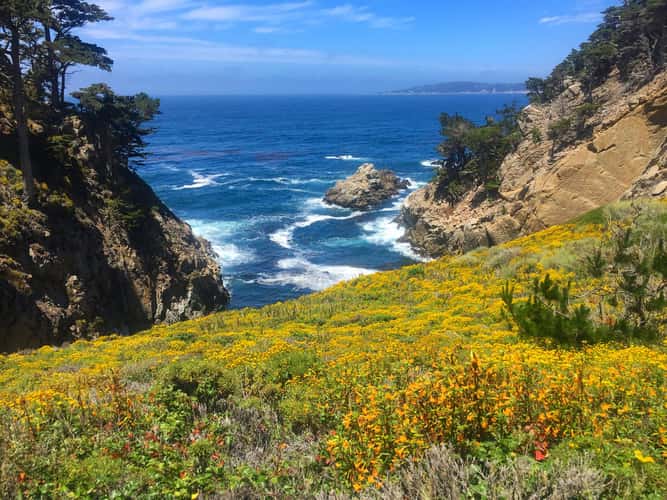 Point Lobos
