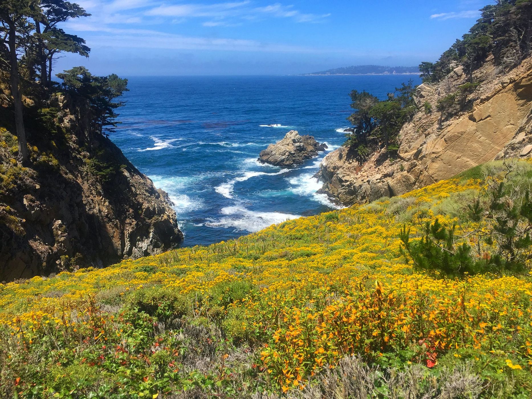 Point Lobos, USA