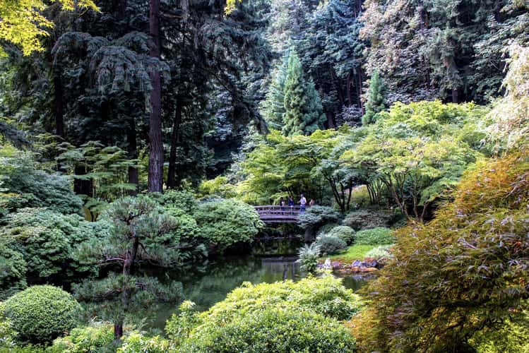 Portland Japanese Garden