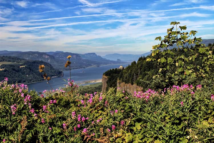 Portland Women’s Forum Scenic Viewpoint