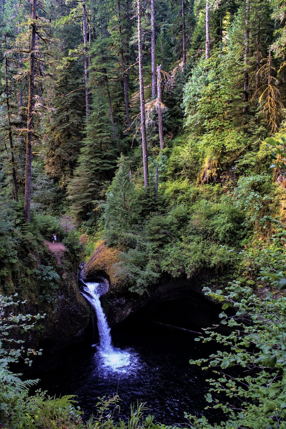 Punch Bowl Falls, USA