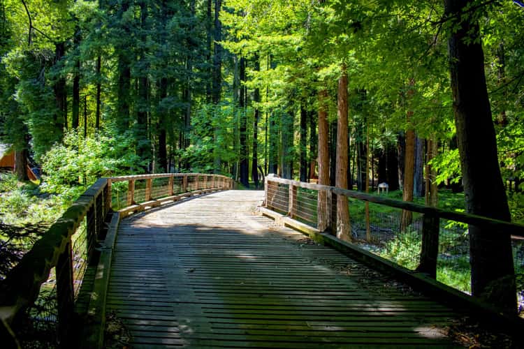 Ripplewood Campgrounds