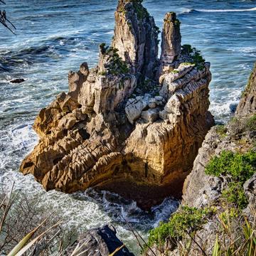 Rock Paparoa National Park West Coast South Island, New Zealand