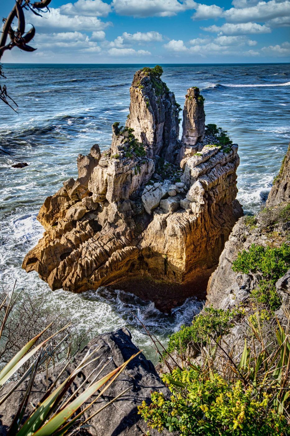 Rock Paparoa National Park West Coast South Island, New Zealand