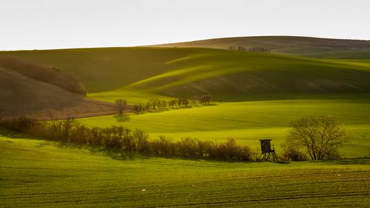 Rolling hills, Moravia
