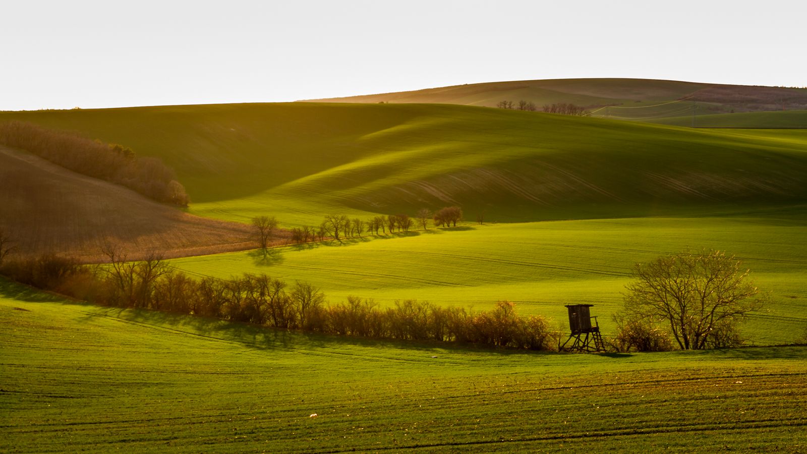 Rolling hills, Moravia, Czech Republic