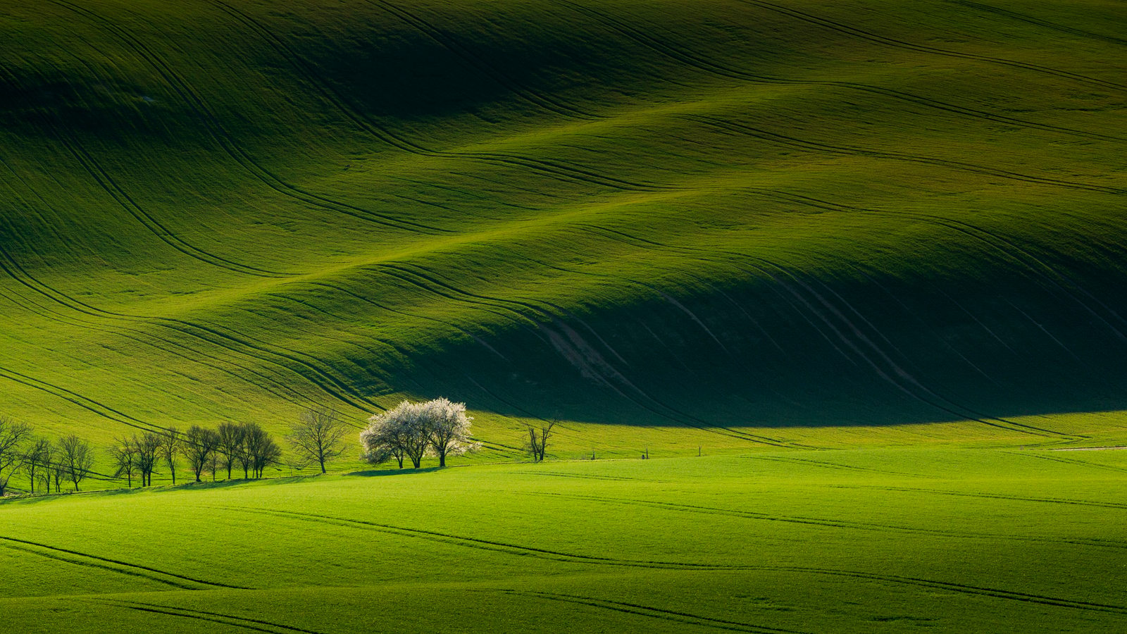 Rolling Hills