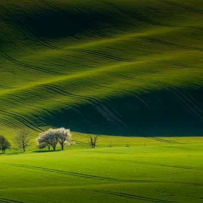 Rolling hills, Moravia, Czech Republic