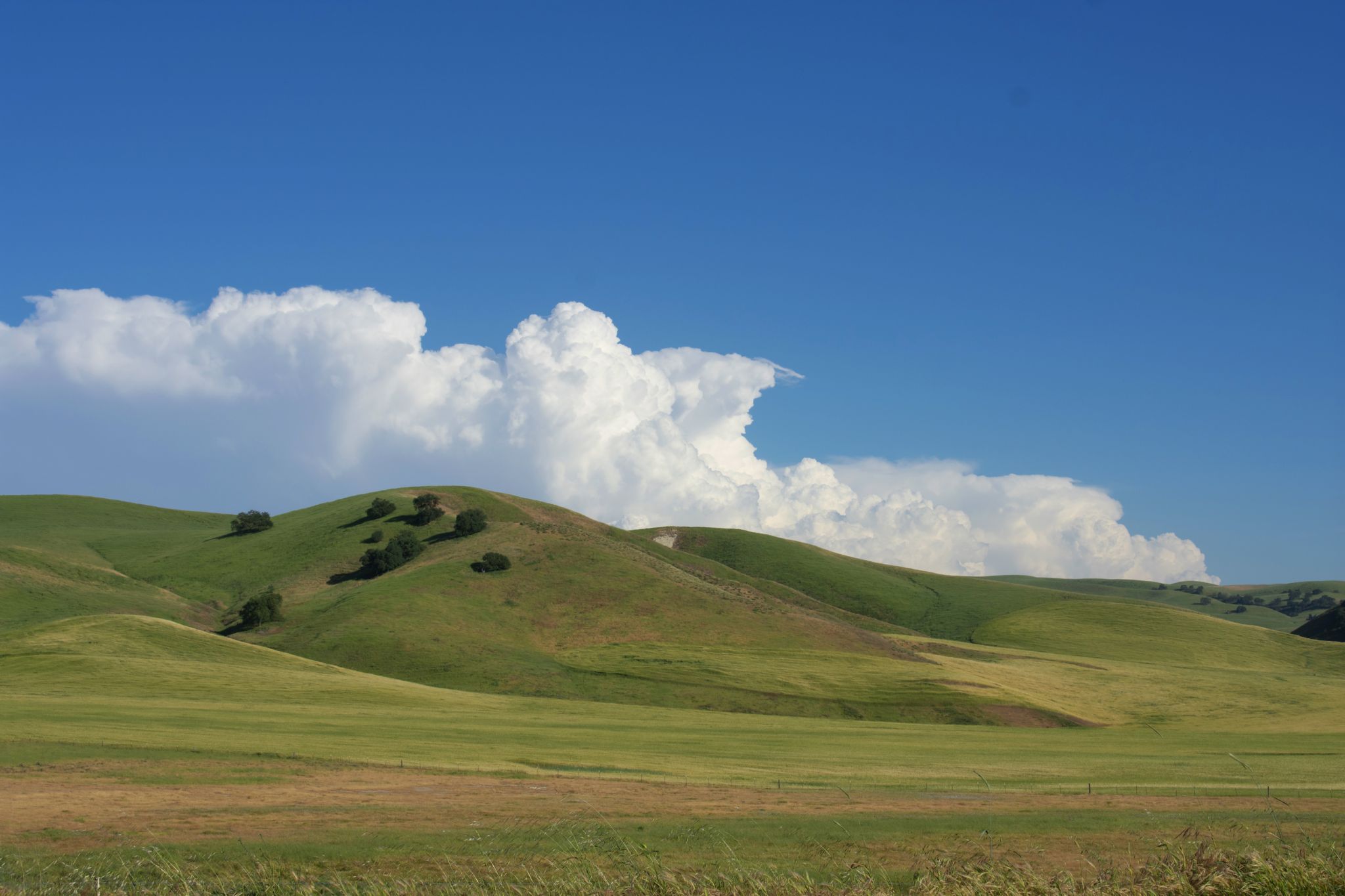 Rolling Hills, USA