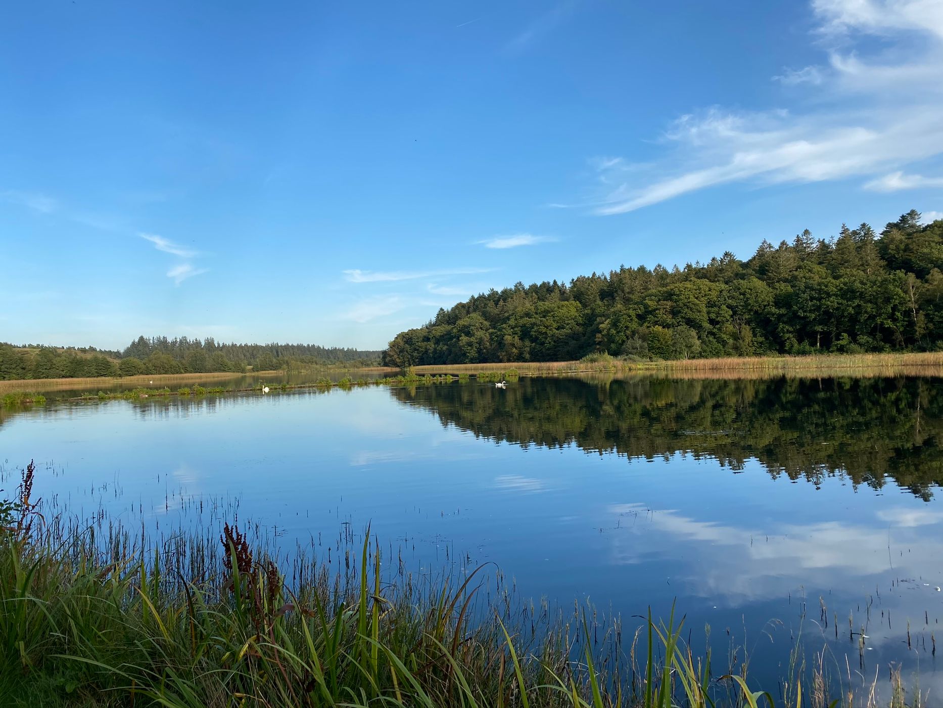 Rørbæk Sø, Denmark