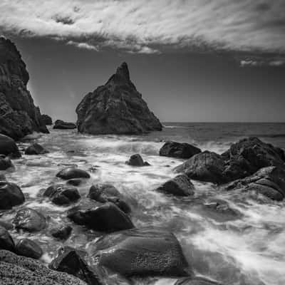 Rotokura, Cable Bay, Nelson, South Island, New Zealand