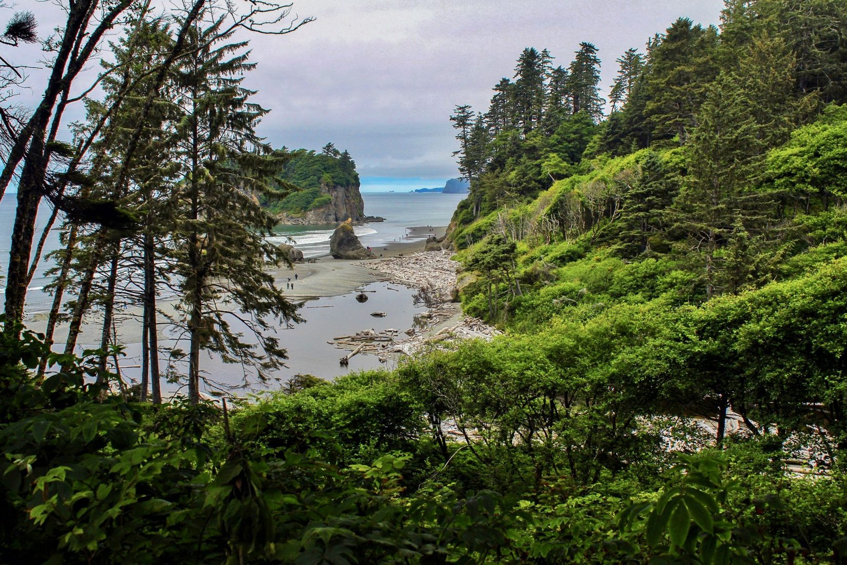 Ruby beach, USA