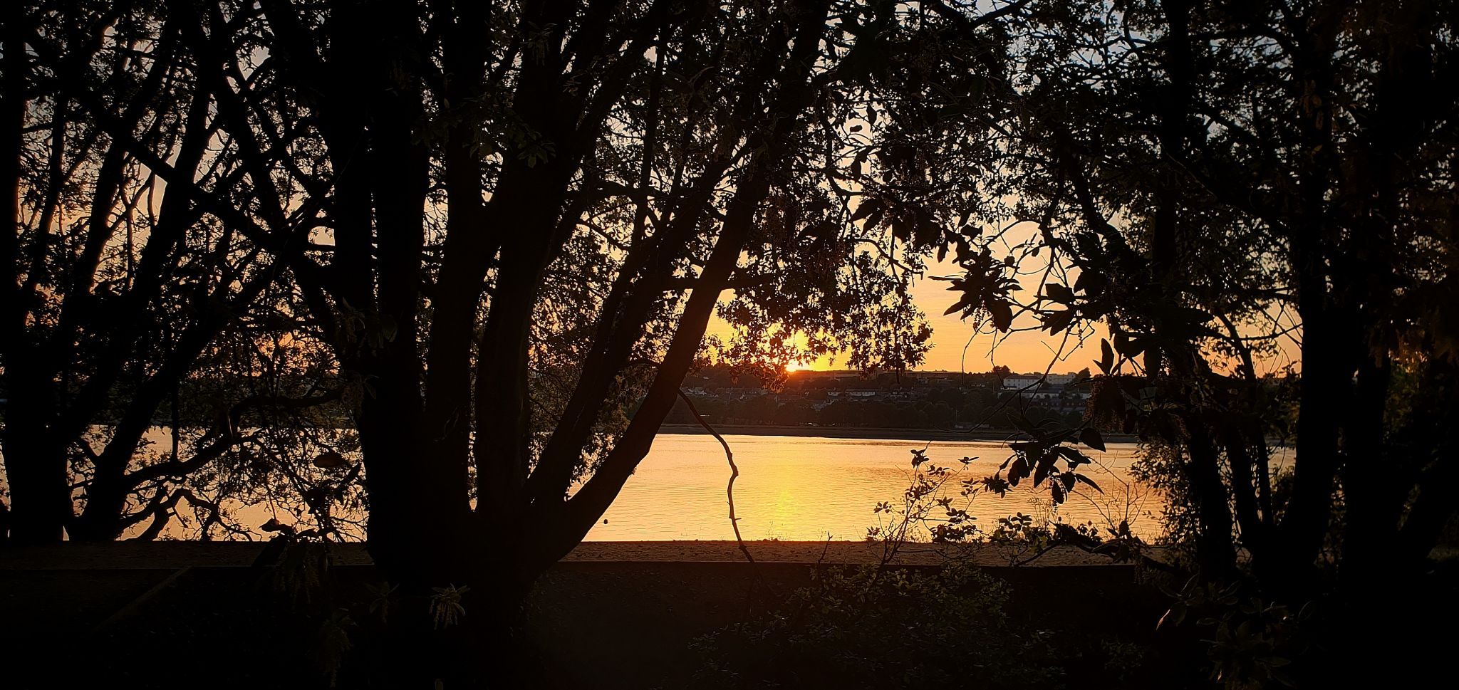 Saltram house  and river plym, United Kingdom