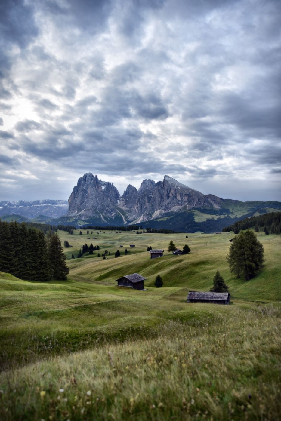 Seiser Alm view over the grassland, Italy