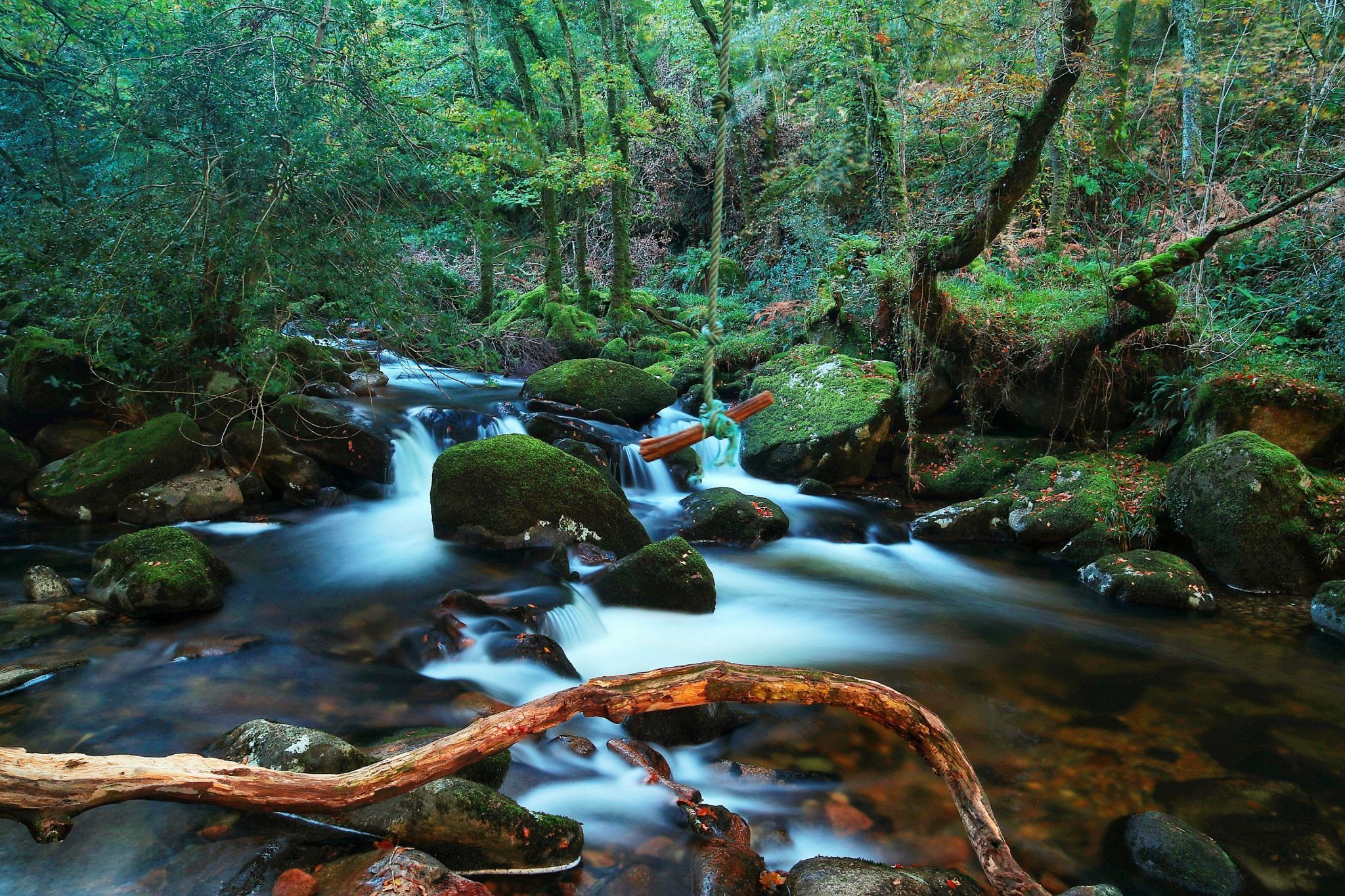 Shaugh prior river, United Kingdom