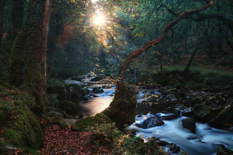Shaugh prior river