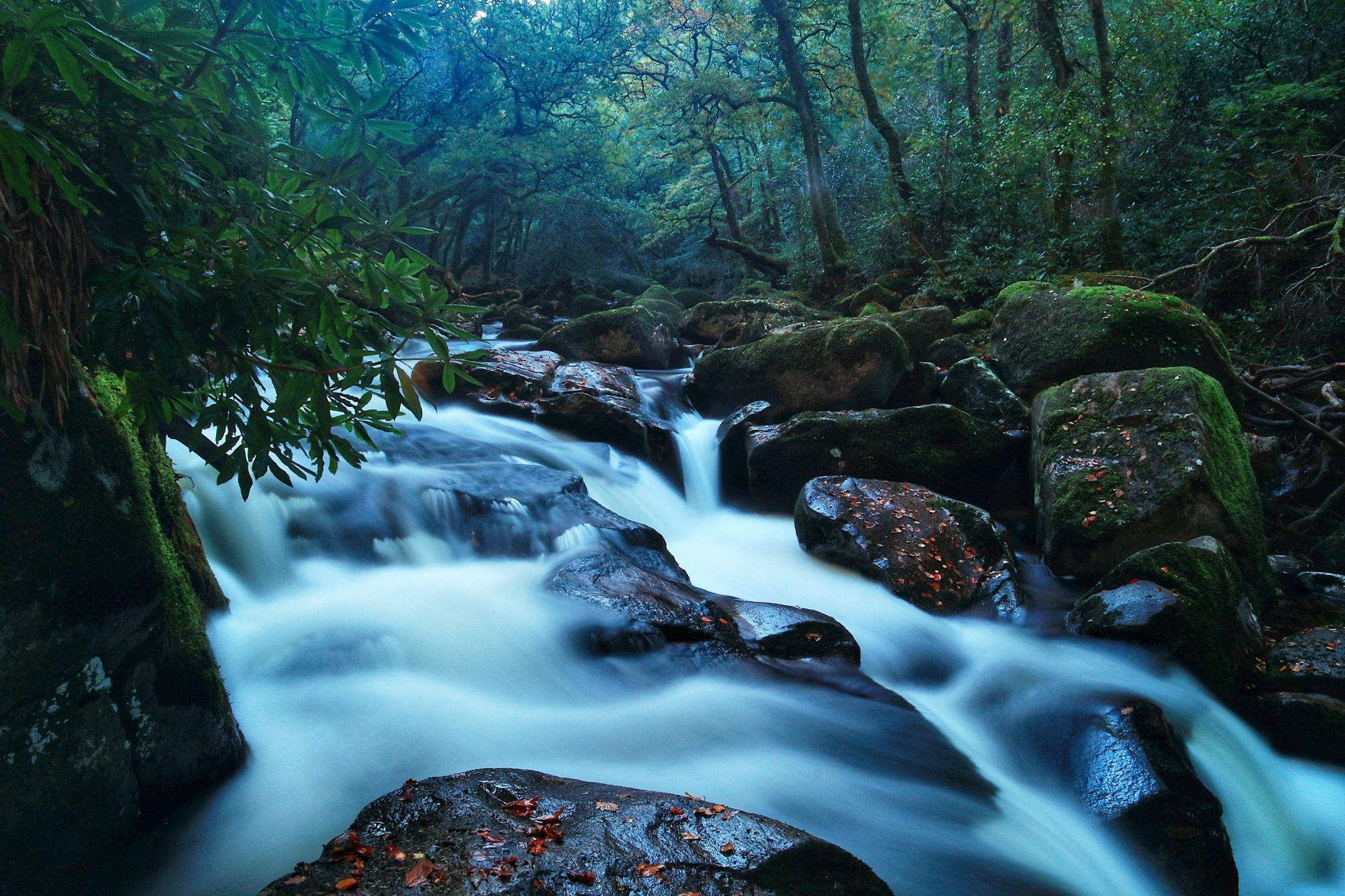 Shaugh prior river, United Kingdom