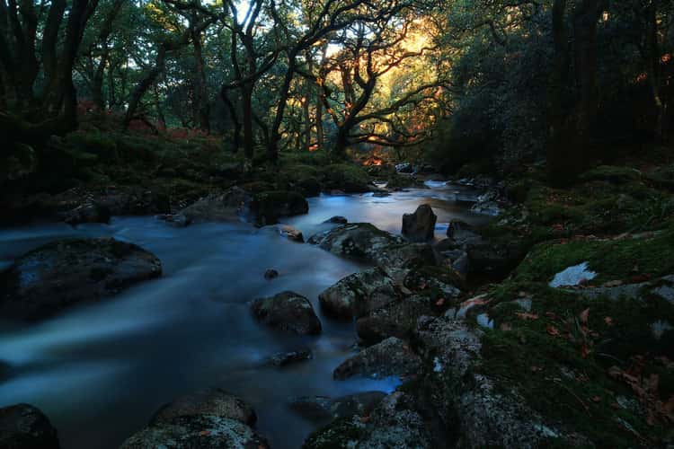 Shaugh prior river