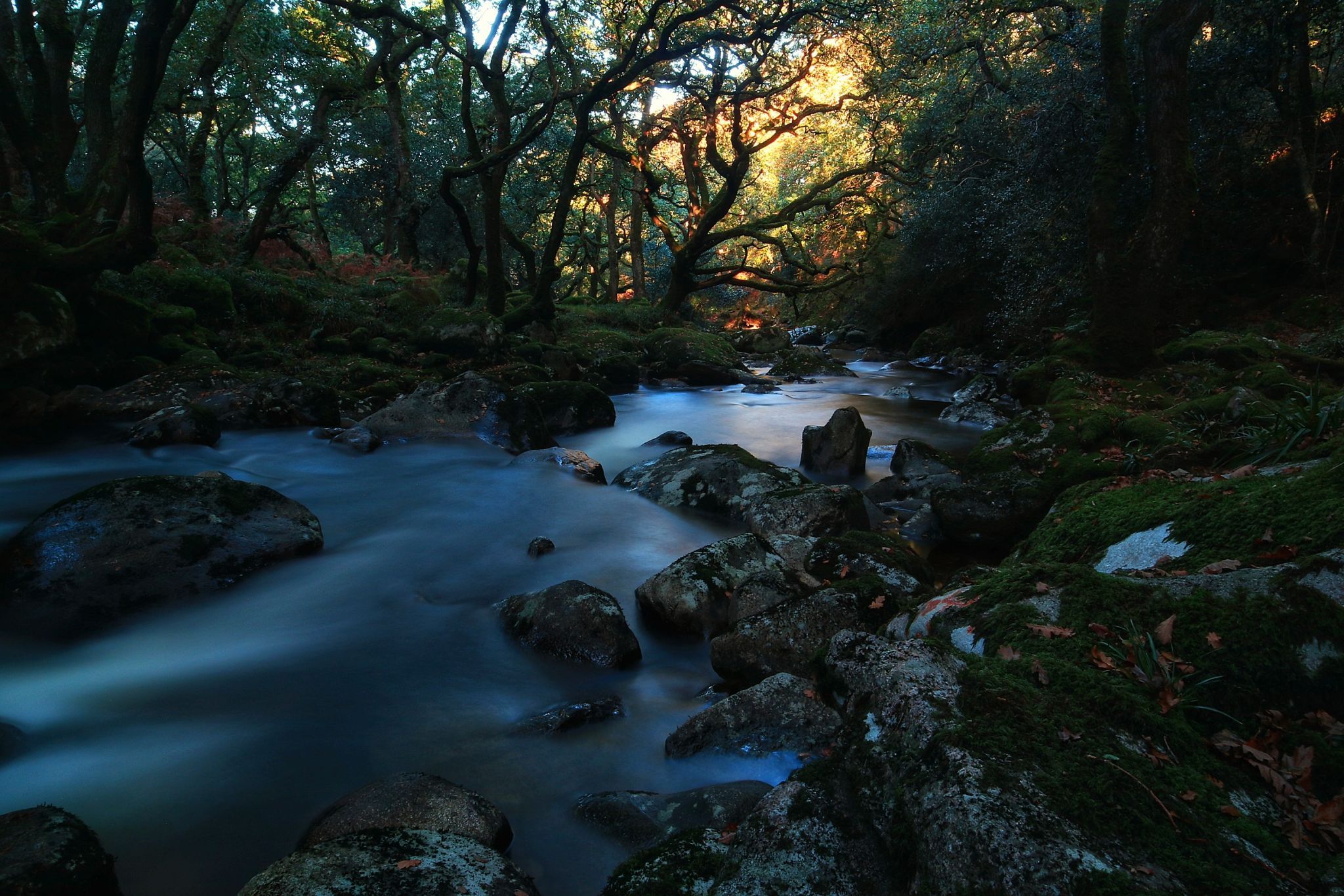 Shaugh prior river, United Kingdom