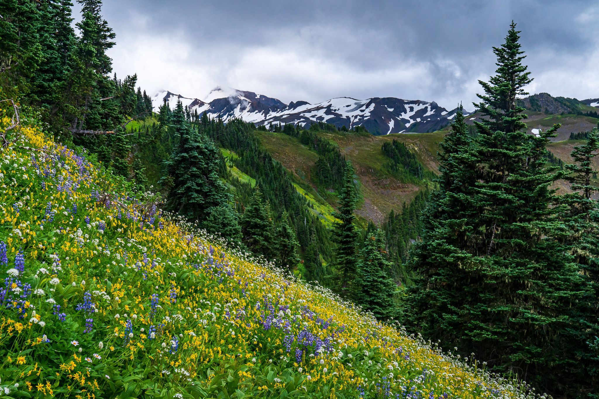Skyline Divide, USA
