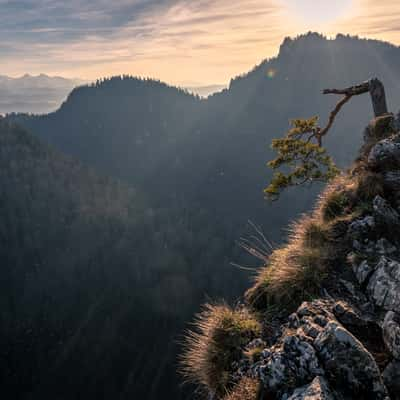 Sokolica, Poland