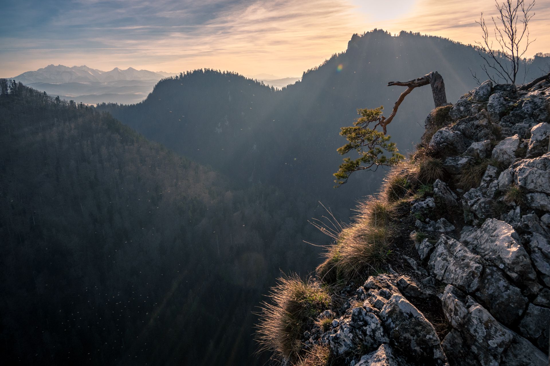 Sokolica, Poland