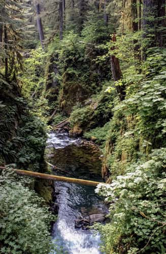 Sol Duc Falls